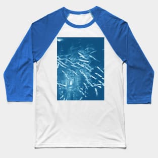 Juvenile fishes school Baseball T-Shirt